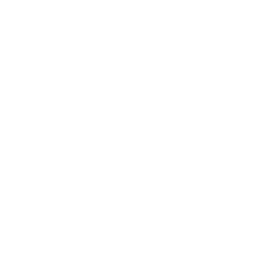 Blog Writer