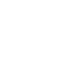 Feature Selection