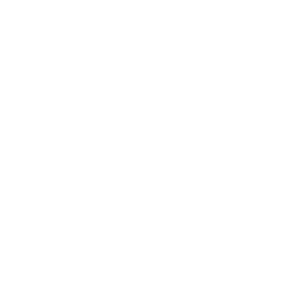Customer Success