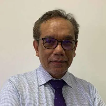 Mr. Hisham Ismail